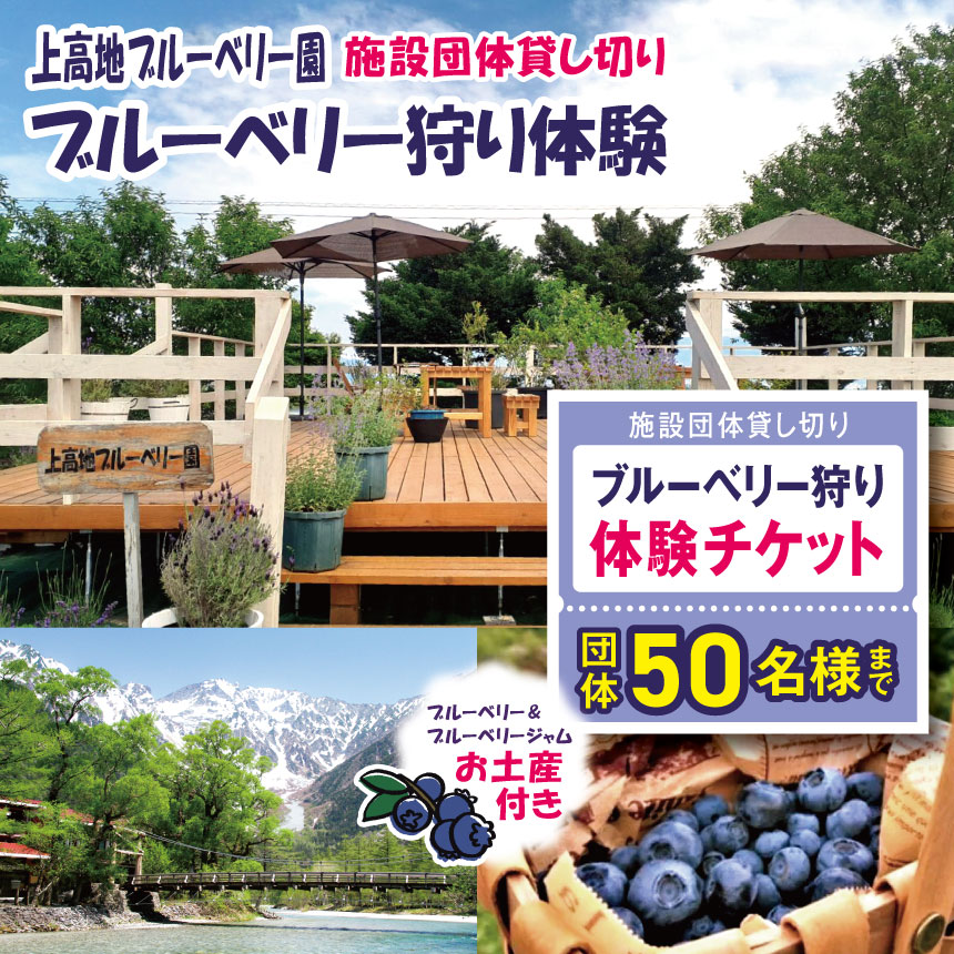 【ふるさと納税】上高地ブルーベリー園　施設団体貸し切り、ブルーベリー狩り体験チケット 団体50名様まで（ブルーベリー、ブルーベリジャムお土産付き）│信州 贈答用 ブルーベリー ジャム 加工品 新鮮 甘い 美味しい 特別 松本 ふるさと納税 上高地 ブルーベリー狩り