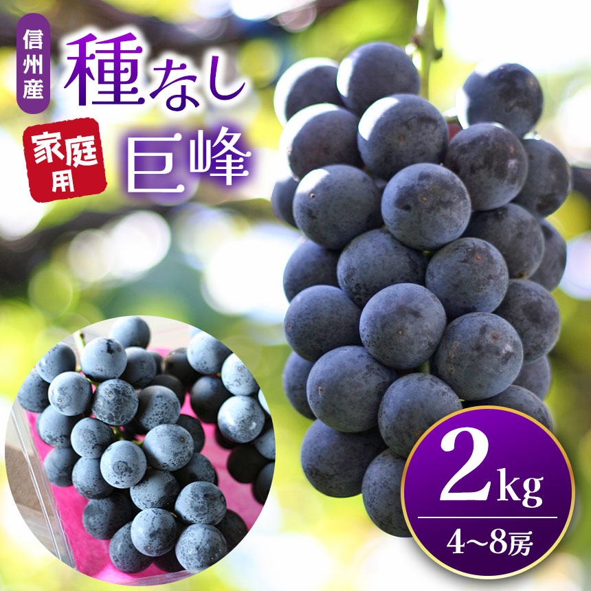 【ふるさと納税】信州産　種無し巨峰　家庭用 2kg箱（4房～8房）【先行予約】｜ふるさと納税 信州 松本  巨峰 ぶどう 種なし 定番 甘い 果物 フルーツ 甘い おすすめ
