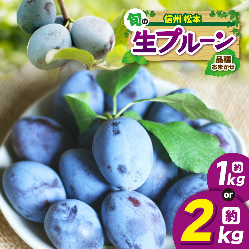 【ふるさと納税】【先行受付：7月～発送】信州産 品種おまかせ旬の生プルーン【選べる】 約1kg（500g × 2パック）or 約2kg（500g × 4パック）｜ふるさと納税 信州 松本 プルーン 果物 フルーツ 甘い