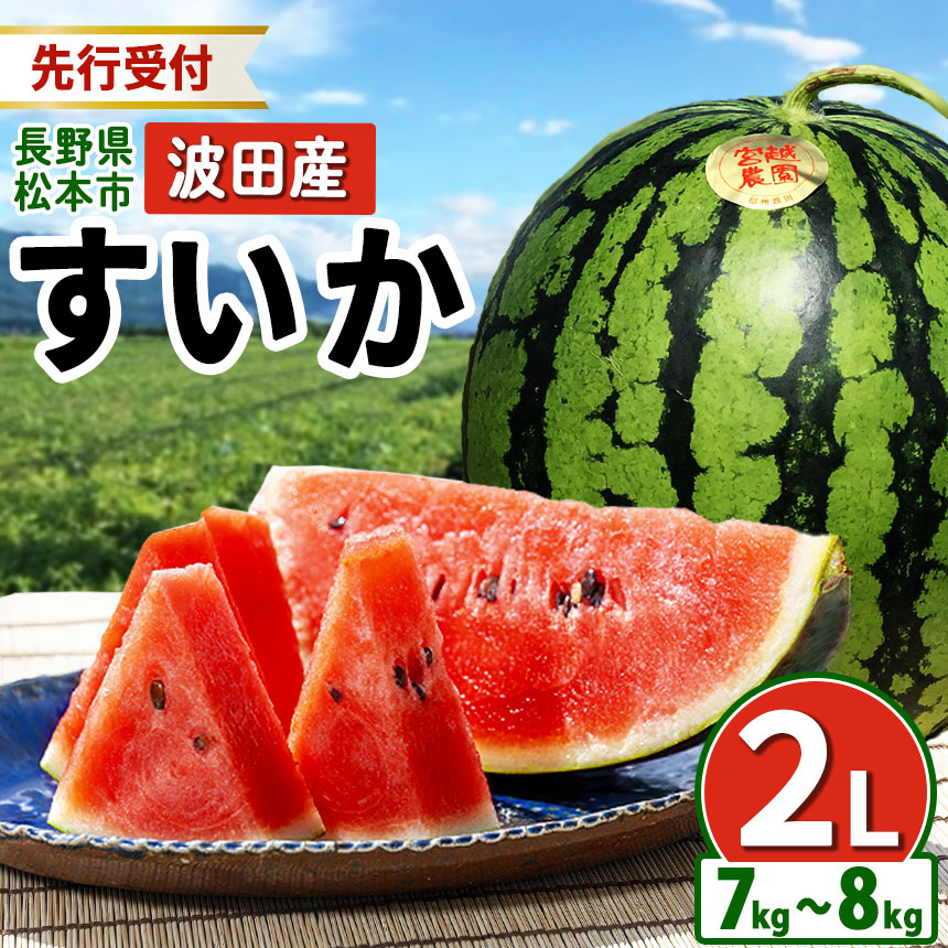 楽天市場】【ふるさと納税】【先行予約】藤重農園の大玉スイカ