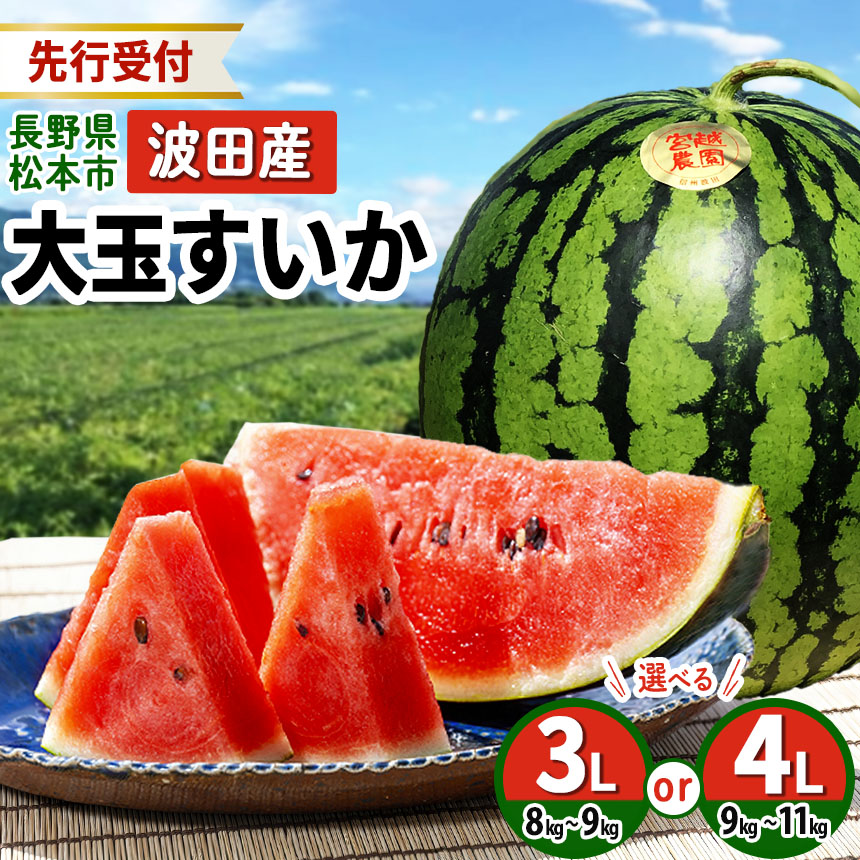 楽天市場】【ふるさと納税】 AG060【令和8年度出荷分】超特大！大玉