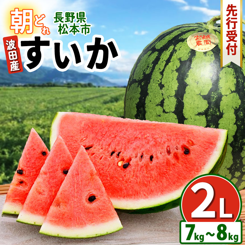 【ふるさと納税】【先行受付】信州名産 スイカ 先行受付中 長野県 波田産 西瓜 2L（ 約7kg～8kg ) │ 信州 松本市 名産地 すいか 果物 野菜 フルーツ くだもの フルーツ ふるーつ 好食感 高糖度 甘い 美味しい 長野名物 特産品 夏果物 令和7年 7月 - 8月 発送