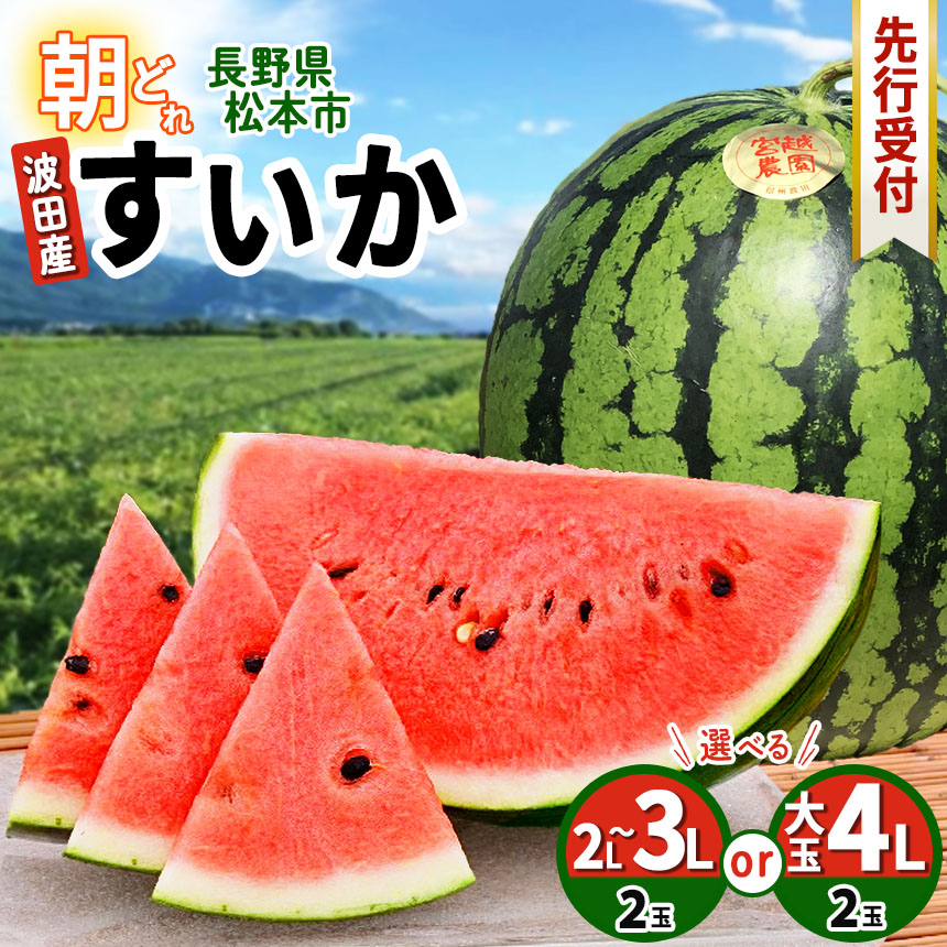 【ふるさと納税】【先行受付】選べる！松本市 波田産 すいか　2玉入り　│ 信州 松本市  長野県 西瓜 すいか 果物 大玉 スイカ フルーツ くだもの フルーツ ふるーつ おすすめ