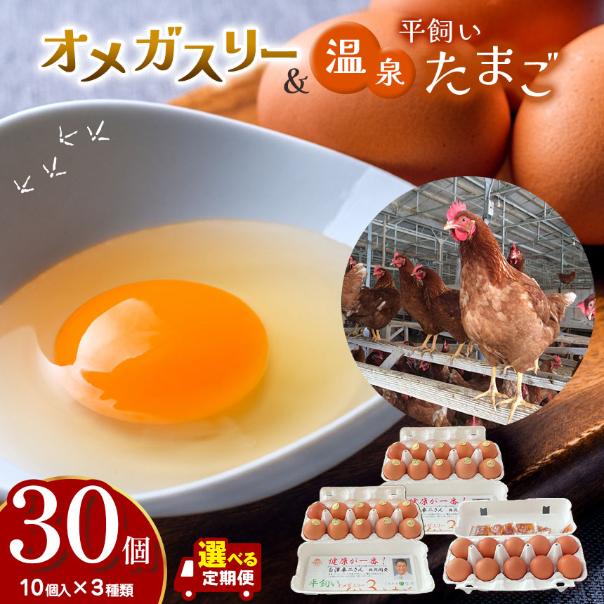 【ふるさと納税】【定期便も選べる】オメガスリーたまご20個、平飼い温泉たまご10個詰め合わせ（合計3パック、30個入り）｜ ふるさと納税 信州 鶏 卵 たまご 温泉卵 長野県 松本市 美味しい 12,580円