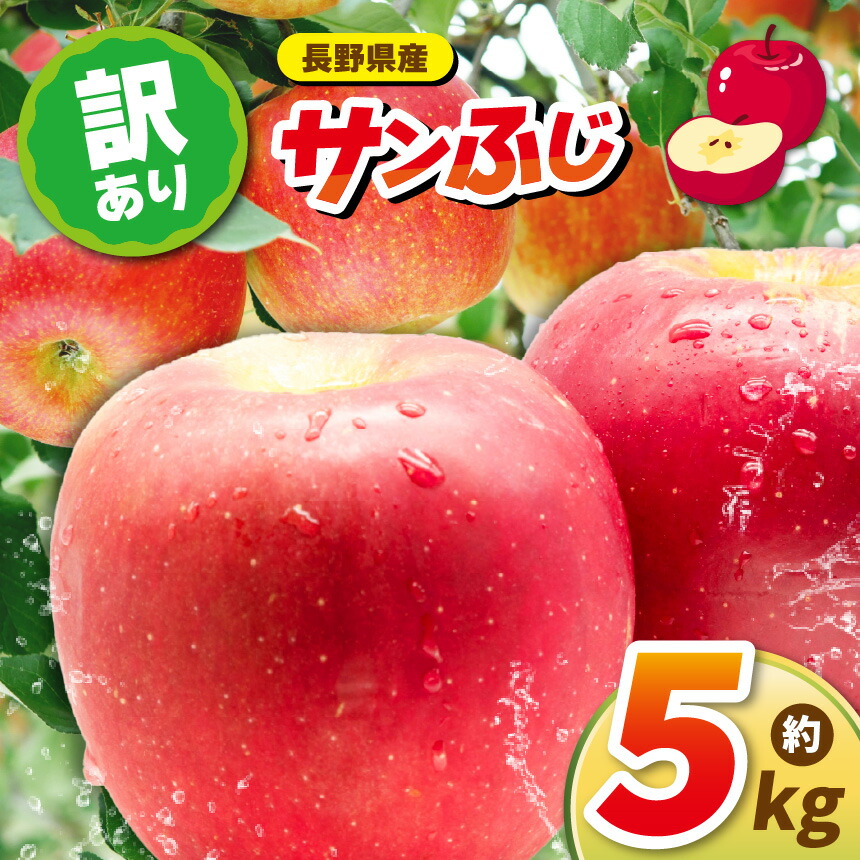 【ふるさと納税】【先行受付：11月～発送】訳アリりんごサンふじ 5kg｜ 訳あり ふるさと納税 長野県 松本市 リンゴ りんご フジ｜長野県松本市
