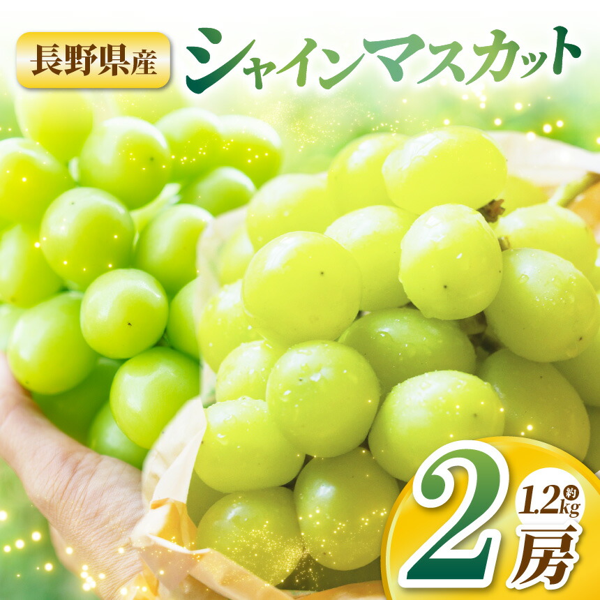 【ふるさと納税】【先行受付：9月～発送】シャインマスカット２房｜ふるさと納税 長野県 松本市 シャインマスカット ぶどう 果物 信州産