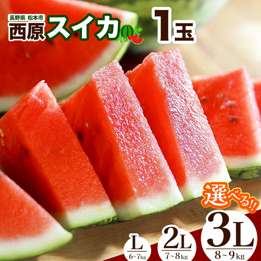 【ふるさと納税】【2025年発送 先行予約】松本市 西原スイカ【先行受付】選べる！ L or 2L or 3L │ 信州 松本市  長野県 西瓜 すいか 果物 大玉 スイカ フルーツ くだもの フルーツ ふるーつ