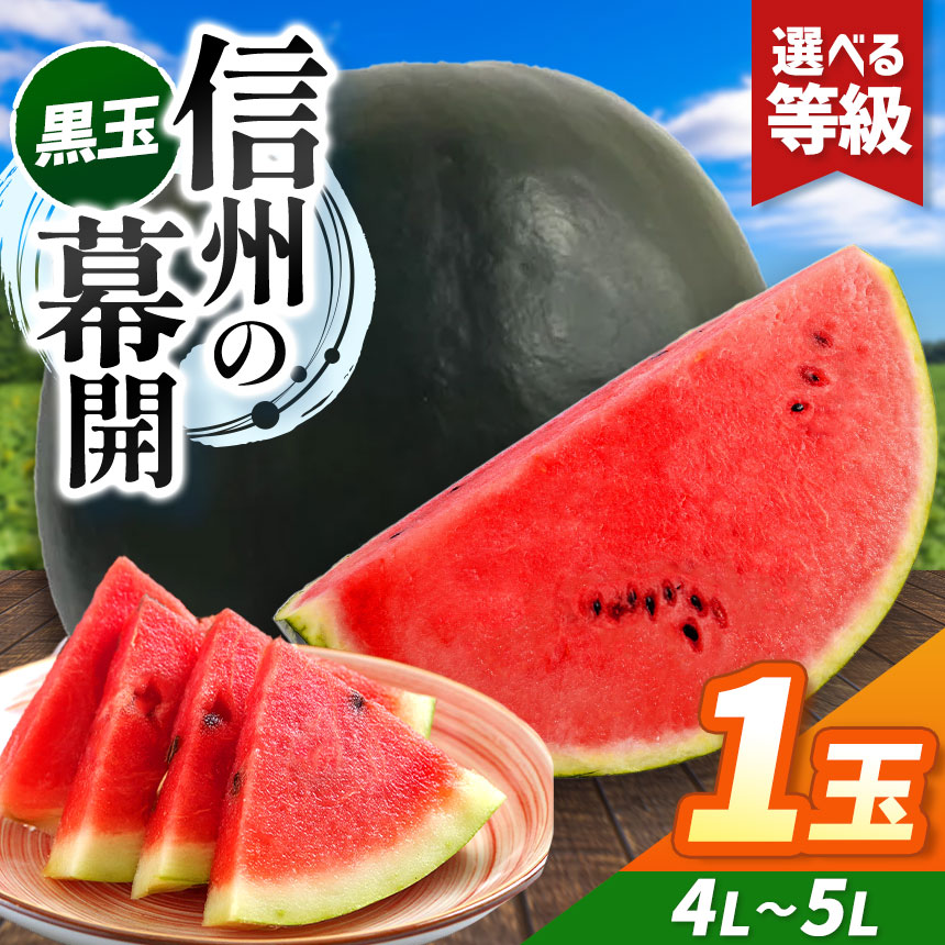 【ふるさと納税】先行予約【選べる】信州波田産 贈答用 黒玉スイカ！信州の幕開 4L～5Lサイズ 1玉｜ふるさと納税 長野県 信州 松本 果物 フルーツ すいか スイカ 西瓜 贈答 特選 季節限定 甘い くだもの ふるーつ