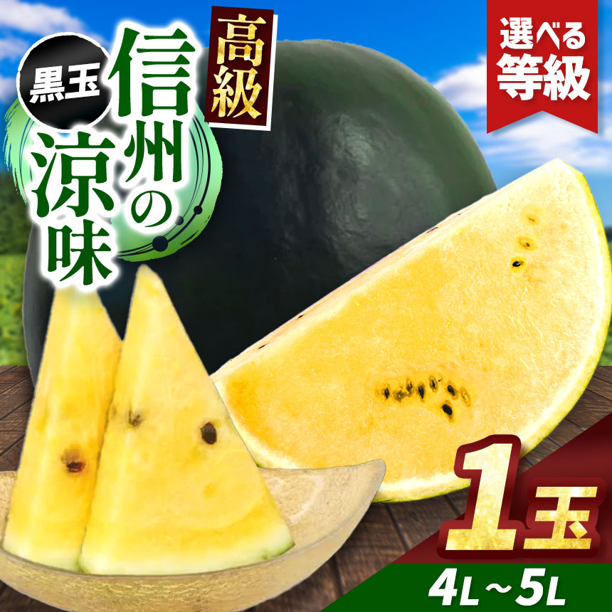 【ふるさと納税】先行予約【選べる】信州波田産 高級 黒玉スイカ！信州の涼味  4L～5Lサイズ 1玉 ｜ふるさと納税 長野県 信州 松本 果物 フルーツ すいか スイカ 西瓜 贈答 季節限定 甘い くだもの ふるーつ