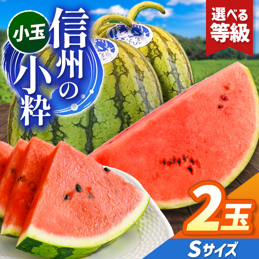 【ふるさと納税】先行予約【選べる】信州波田産 小玉スイカ！信州の小粋 2玉 Sサイズ｜ふるさと納税 長野県 信州 松本 果物 フルーツ 小玉 すいか スイカ 西瓜 贈答 特選 季節限定 甘い くだもの ふるーつ