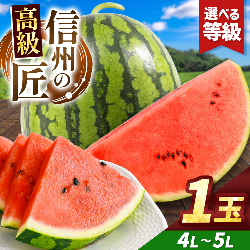 【ふるさと納税】先行予約【選べる】信州波田産 高級スイカ！信州の匠  4L～5Lサイズ 1玉｜ふるさと納税 長野県 信州 松本 果物 フルーツ すいか スイカ 西瓜 特選 季節限定 甘い くだもの ふるーつ