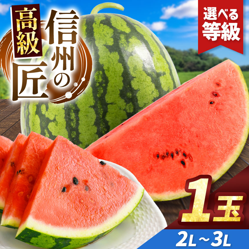 【ふるさと納税】先行予約【選べる】信州波田産 高級スイカ！信州の匠 2L～3Lサイズ 1玉｜ふるさと納税 長野県 信州 松本 果物 フルーツ すいか スイカ 西瓜 特選 贈答 季節限定 甘い くだもの ふるーつ