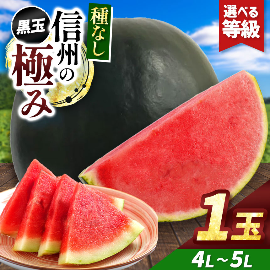 【ふるさと納税】先行予約【選べる】信州波田産 種無し黒玉スイカ！信州の極み 4L～5Lサイズ 1玉｜ふるさと納税 長野県 信州 松本 果物 フルーツ すいか スイカ 西瓜 贈答 季節限定 甘い くだもの ふるーつ