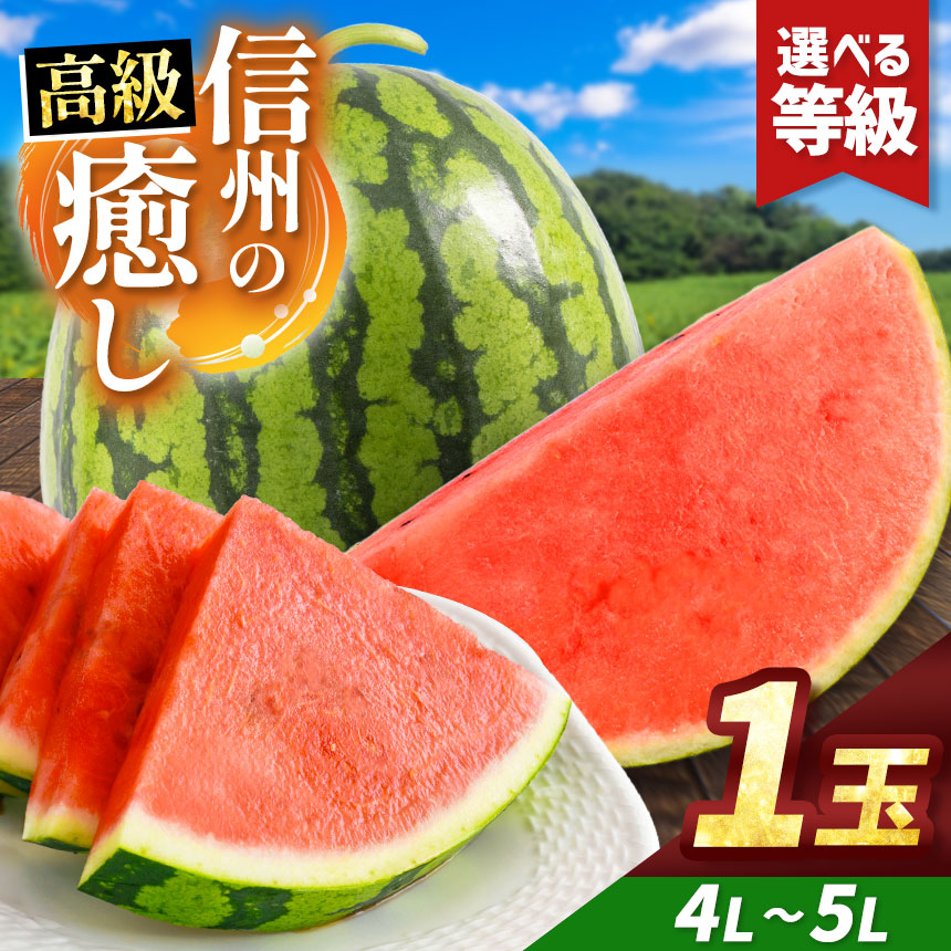 【ふるさと納税】先行予約【選べる】信州波田産 贈答用 高級スイカ！信州の癒し 4L～5Lサイズ 1玉｜ふるさと納税 長野県 信州 松本 果物 フルーツ すいか スイカ 西瓜 贈答 季節限定 甘い くだもの ふるーつ