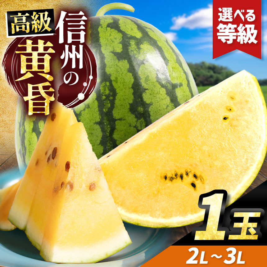 【ふるさと納税】先行予約【選べる】信州波田産 甘いスイカ！ 信州の黄昏 ( 金色羅皇 )  2L～3Lサイズ 1玉｜ふるさと納税 長野県 信州 松本 果物 フルーツ すいか スイカ 西瓜 金色羅皇 贈答 季節限定 甘い くだもの ふるーつ