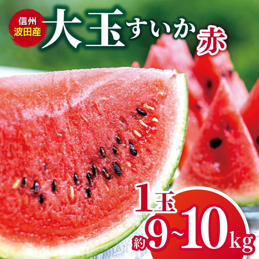 【ふるさと納税】【先行受付】信州波田産　大玉すいか（赤） 1玉 (約９～１０kg) │ すいか スイカ 大玉 野菜 夏 果物 新鮮 自然 甘い 美味しい 波田 長野県 信州 松本 ふるさと納税