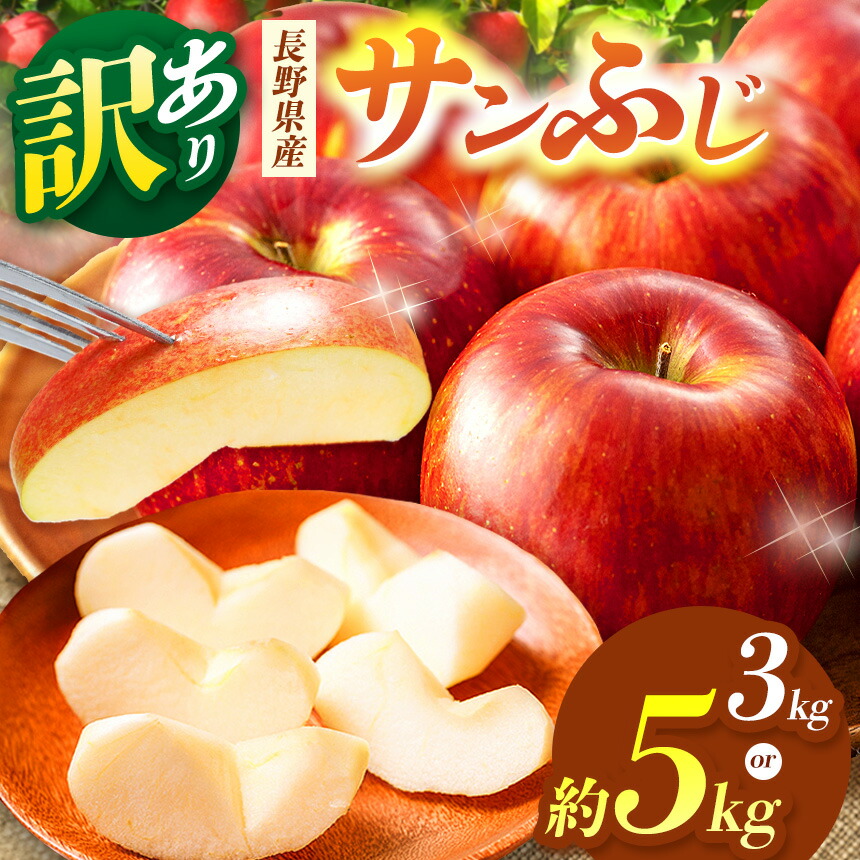 りんご出品 最高級品 ぐんま名月 チャンピオンりんご 糖度15度前後 贈答用 約10kg