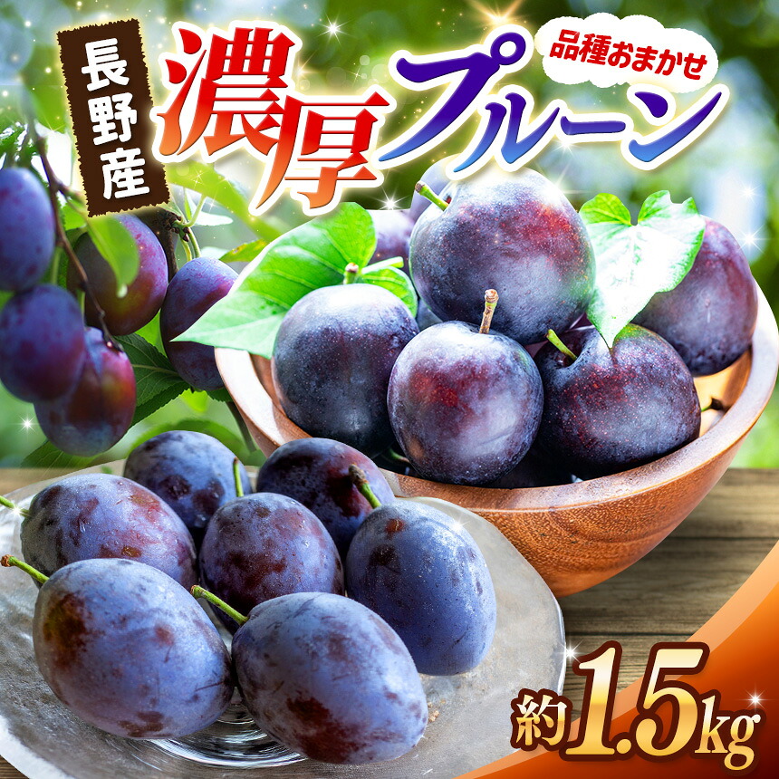 【ふるさと納税】【先行受付：8月発送】信州松本平産プルーン 約1.5kg 品種おまかせ ｜ ふるさと納税 信州 松本 プルーン 果物 フルーツ 甘い 信州松本平 果物