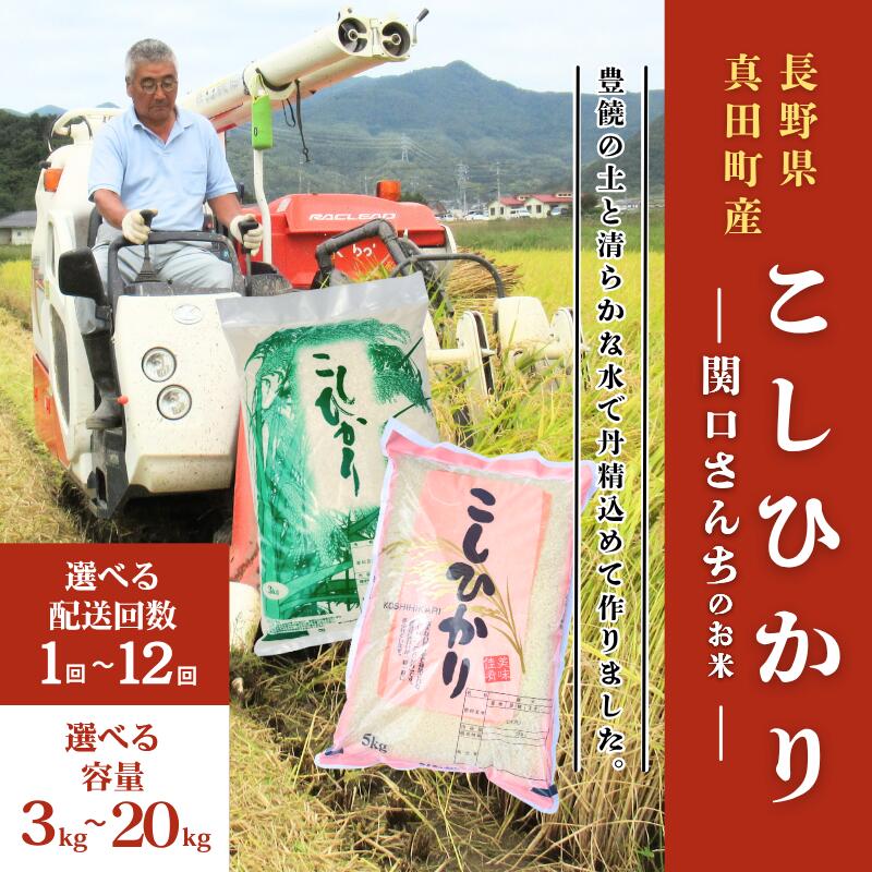 【ふるさと納税】米 コシヒカリ 関口さんちのお米 選べる 容量 回数 お米 精米 白米 ブランド米 ご飯