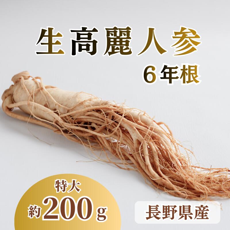 楽天市場】6年物根入り特上高麗人参酒 （3200ml）常温発送 包装不可