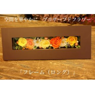 分けまえで食い違いがわかる 上田市の林檎特集
