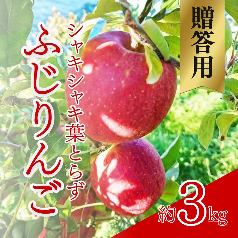 【ふるさと納税】シャキシャキ葉とらず ふじりんご 約3kg (5～12玉) サンふじ りんご リンゴ 果物 フルーツ 旬の果物 信州 長野 上田【特別栽培農産物】【長野県産】　お届け：2026年11月上旬より順次発送