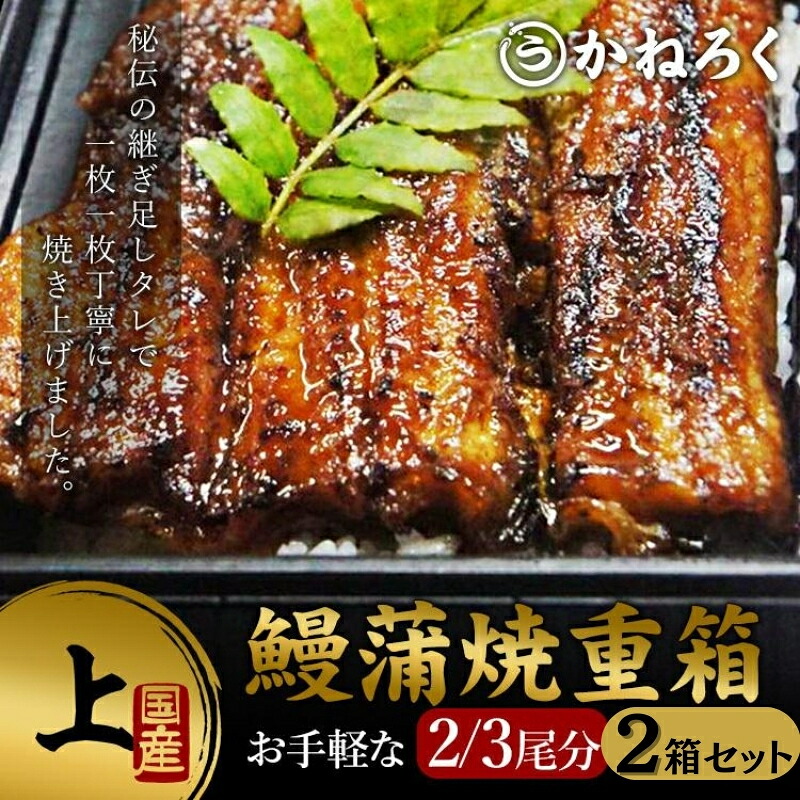 【ふるさと納税】鰻蒲焼重箱「上」2個セット 山椒・漬物付き　ギフト ウナギ 鰻 蒲焼 国産 国内産 プレゼント 誕生日 お歳暮 上田市 コシヒカリ グルメ 贅沢