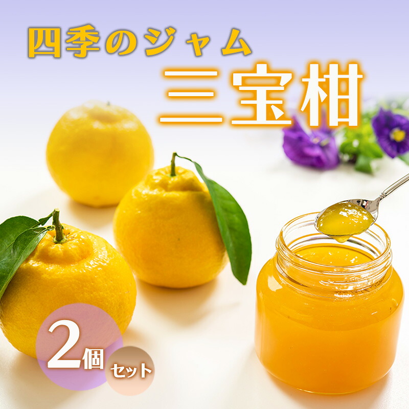 【ふるさと納税】ジャム 長野 四季のジャム 三宝柑 2個 セット 飯島商店 みかんジャム みかん 柑橘 朝ごはん 朝食 パン フルーツ 果物 デザート スイーツ ギフト プレゼント 贈答 贈り物 調味料 加工食品 ミカンジャム ミカン 蜜柑 長野県 上田市 上田