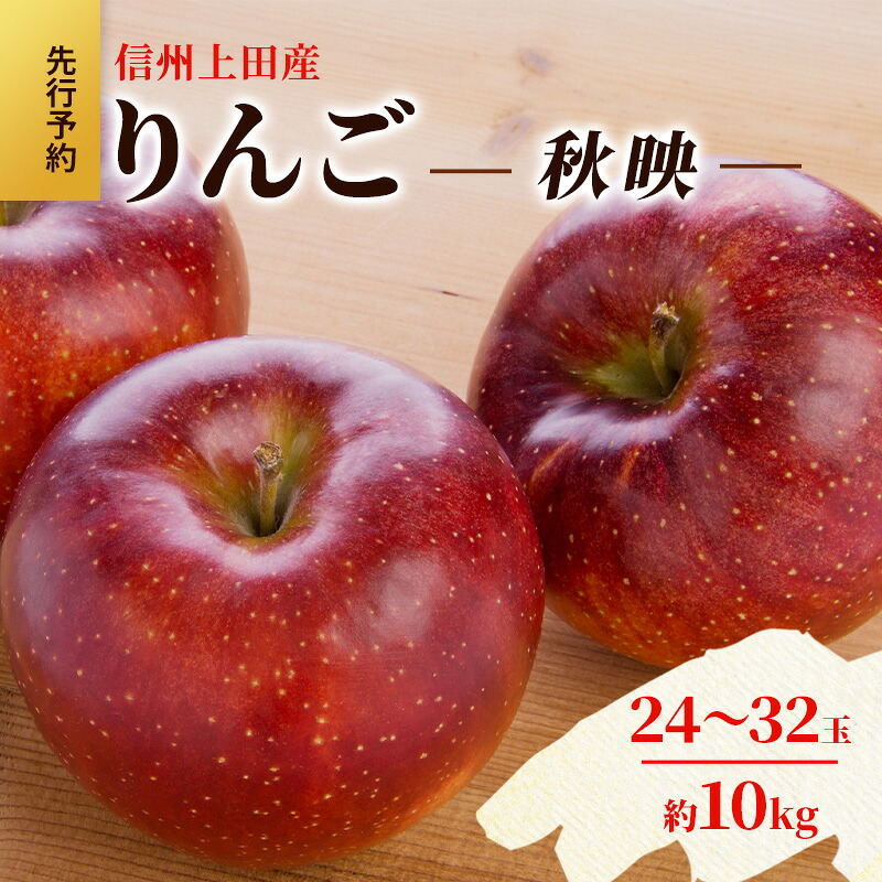 【ふるさと納税】りんご 信州上田産 秋映 家庭用 約10kg 24～32玉 リンゴ 林檎 10kg 果物 くだもの フルーツ デザート 旬の果物 旬のフルーツ 傷 長野県 長野 上田市　お届け：2026年10月中旬～下旬