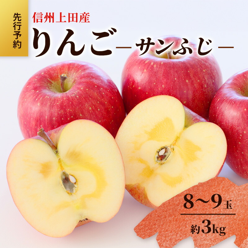 【ふるさと納税】りんご 信州上田産 サンふじ 家庭用 約3kg リンゴ 林檎 3kg サンフジ 果物 くだもの フルーツ デザート 旬の果物 旬のフルーツ 傷 長野県 長野 上田市　お届け：12月上旬～12月中旬