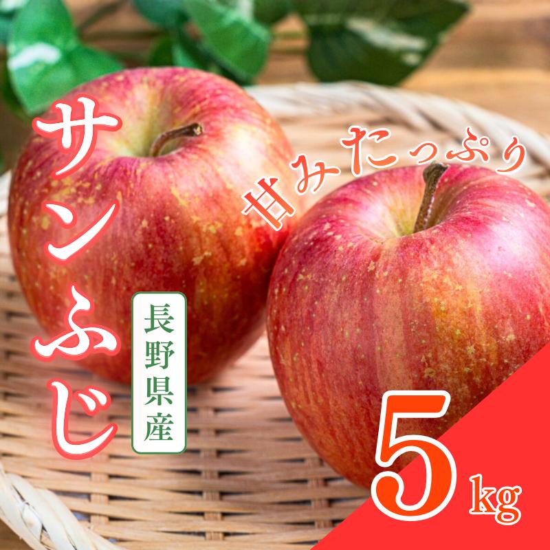 【ふるさと納税】サンふじ　5kg　りんご リンゴ 林檎 果物 フルーツ 長野　お届け：2025年12月上旬～2026年5月中旬まで