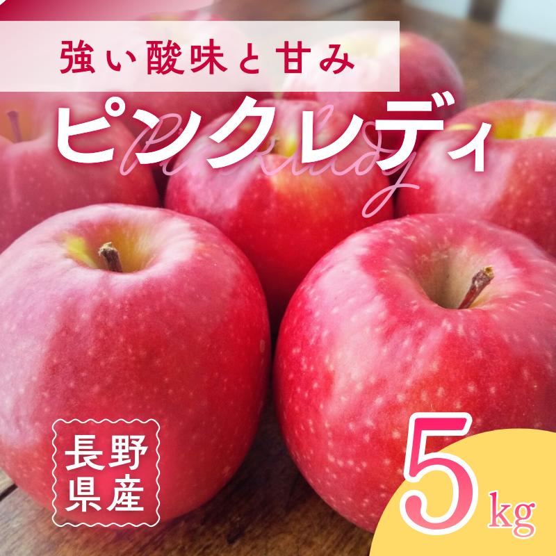 【ふるさと納税】ピンクレディー(R)　5kg　りんご リンゴ 林檎 果物 フルーツ 長野　お届け：2026年1月上旬～5月中旬まで