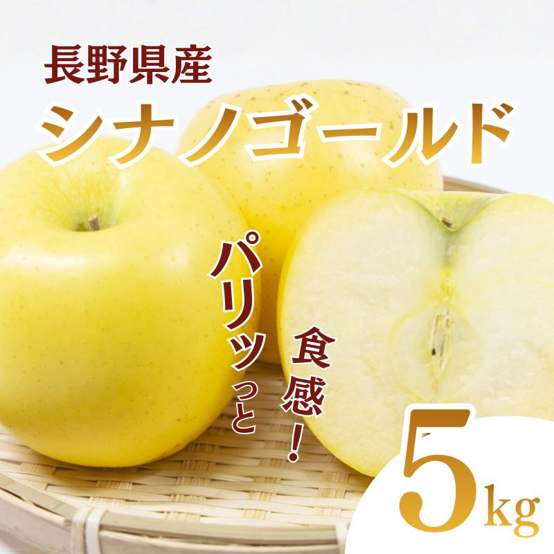 【ふるさと納税】シナノゴールド　5kg　りんご リンゴ 林檎 果物 フルーツ 長野　お届け：2026年10月下旬～11月中旬まで｜長野県上田市