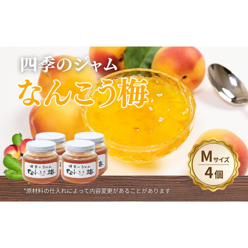 【ふるさと納税】なんこう梅（M）4個セット ジャム 手作り セット 梅 朝食 軽食 上田市｜長野県上田市