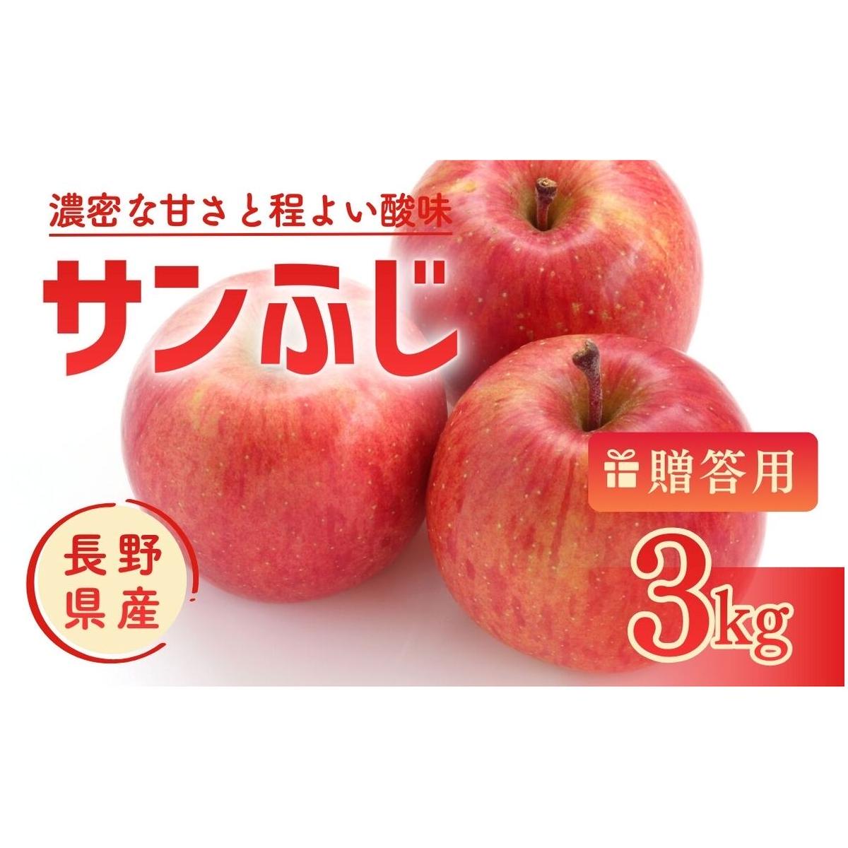 【ふるさと納税】りんご サンふじ 3kg 贈答用 信州 フルーツ 果物　サンふじりんご 林檎 リンゴ サンふじ くだもの 旬の果物 旬のフルーツ 信州産 長野県産 長野 長野県 上田市　お届け：2026年11月下旬～12月上旬まで