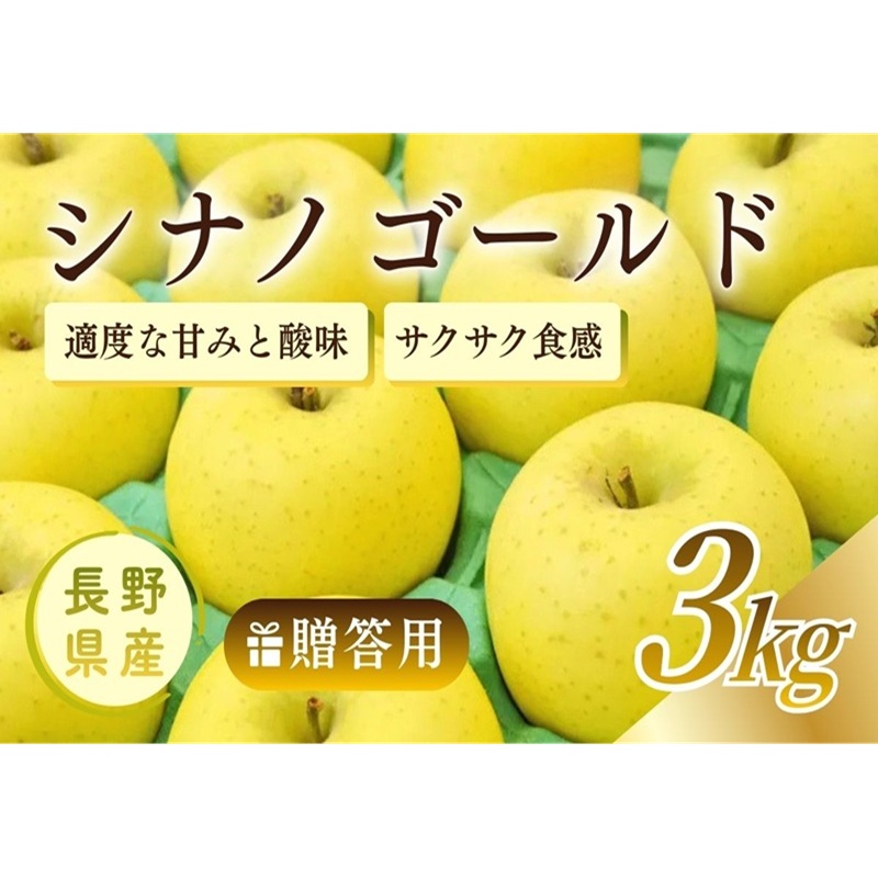 【ふるさと納税】りんご シナノゴールド 3kg 贈答用 信州 フルーツ 果物　林檎 リンゴ くだもの 旬の果物 旬のフルーツ 信州産 長野県産 長野 長野県 上田市　お届け：2026年11月上旬～11月下旬まで