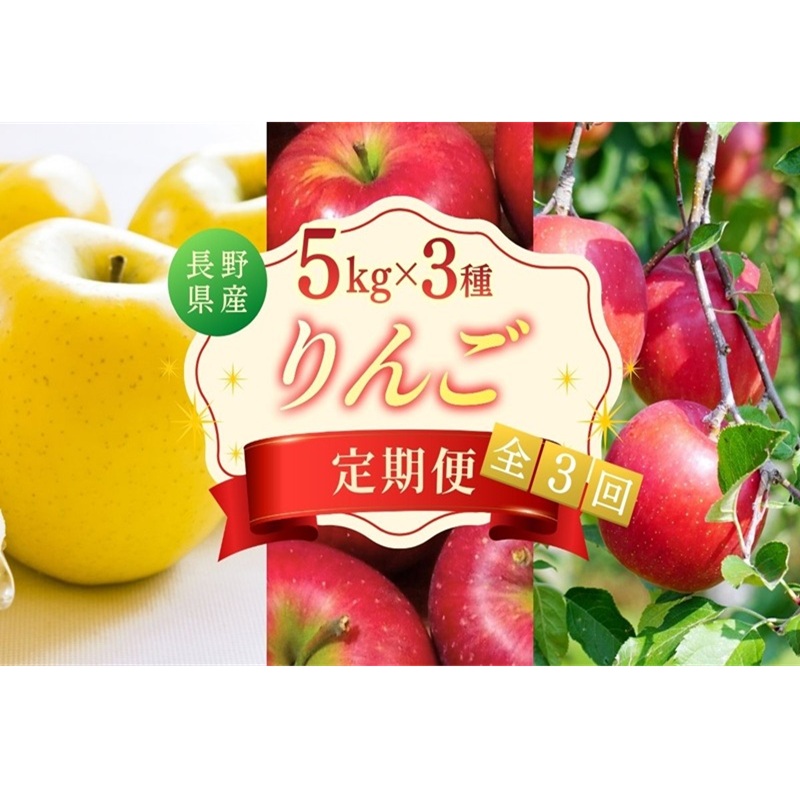 【ふるさと納税】りんご5kg 3ヶ月定期便 スイート ゴールド サンふじ 贈答用 信州 フルーツ 果物 3回　シナノスイート シナノゴールド 林檎 リンゴ くだもの 旬の果物 旬のフルーツ 信州産 長野県産 長野 長野県 上田市　お届け：2026年10月中旬～12月中旬まで