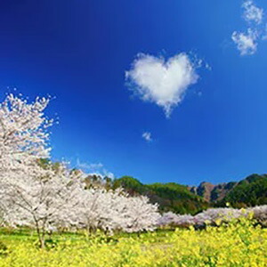 ふるさと納税 005 007 12枚組ポストカードセット2冊セット 信州上田癒しの風景 信州の絶景パワースポット 名称ポストカードセット内容信州上田 癒やし Painandsleepcenter Com