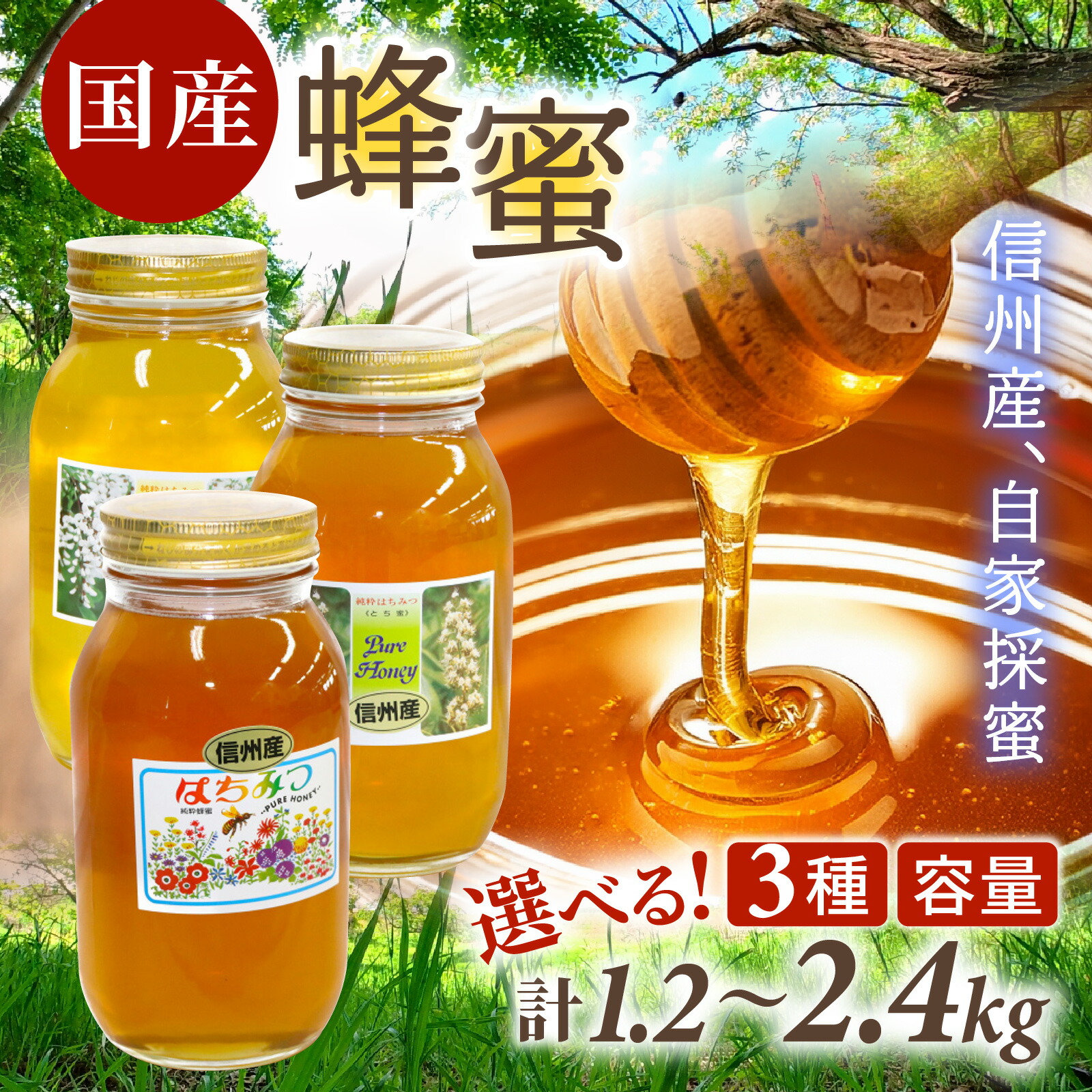 【ふるさと納税】高評価★5.0 高レビュー★ 信州産 蜂蜜 （百花1.2kg、トチ・百花各1.2kg、アカシア・百花各1.2kg） | はちみつ 国産 1200g 2400g 百花蜜 トチ蜜 百花蜜 1kg以上 ハチミツ 大容量 甘い 調味料 信州産 1.2kg 1.2キロ 2.4kg 2.4キロ 純粋はちみつ 瓶詰め