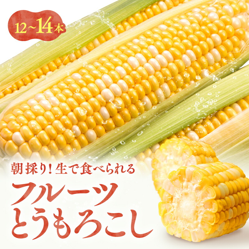 【ふるさと納税】【甘い!生で食べられる!】朝採り フルーツとうもろこし (12～14本) たはたタカハシ | とうもろこし トウモロコシ 野菜 栄養 健康 朝取り 生食 茹でとうもろこし 送料無料 南信州 おやつ おつまみ ふるさと納税 長野県 飯田市 CA01