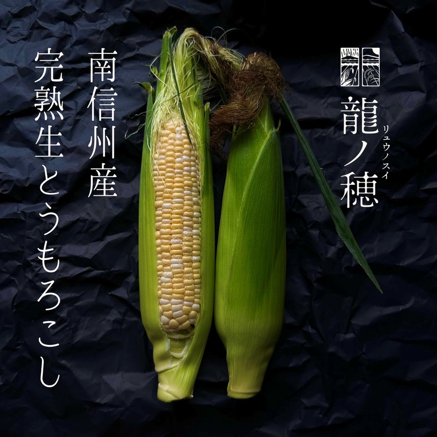 【ふるさと納税】【2025年分先行受付】南信州産 完熟生とうもろこし | とうもろこし トウモロコシ 野菜 ジューシー 農家直送 栄養 健康 生食 茹で 焼き おやつ おつまみ 長野県 飯田市 信州
