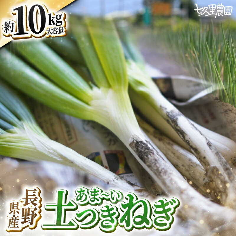 【ふるさと納税】土付き ネギ 約10kg | ネギ 葱 野菜 やさい 新鮮 健康 大容量 長野県 飯田市|長野県飯田市
