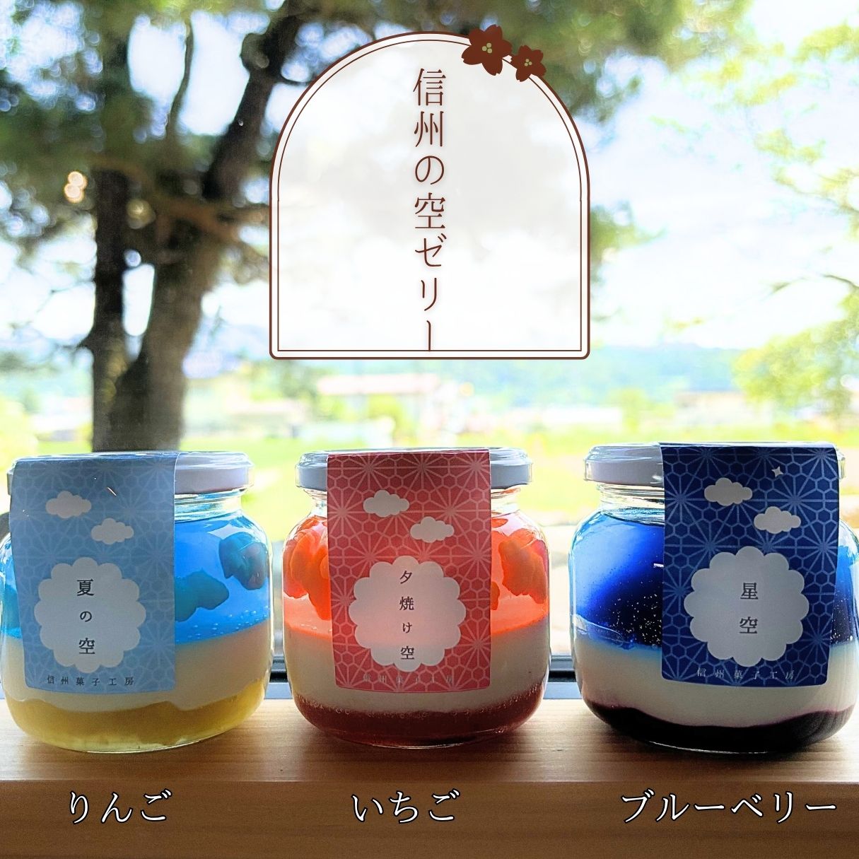 【ふるさと納税】信州 の 空 ゼリー 3種 | ゼリー ムース スイーツ お菓子 焼き菓子 おやつ ご褒美 米粉 グルテンフリー 長野県 飯田市|長野県飯田市