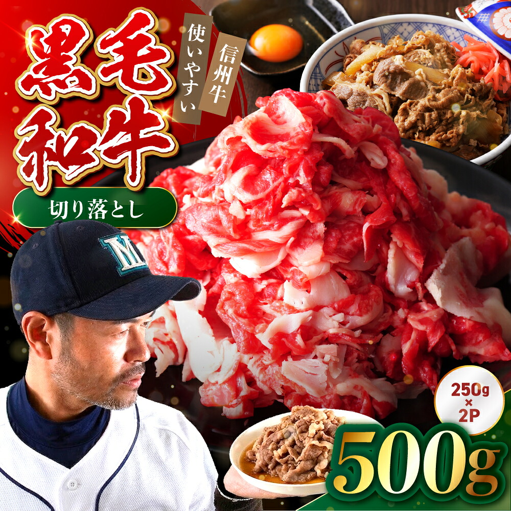 【ふるさと納税】 たかどや牧場産 黒毛和牛 信州牛 切り落とし 500g ( 250g &times; 2パック ) | 肉 牛肉 黒毛和牛 信州牛 切り落とし 炒め物 料理 長野県 飯田市 信州｜長野県飯田市