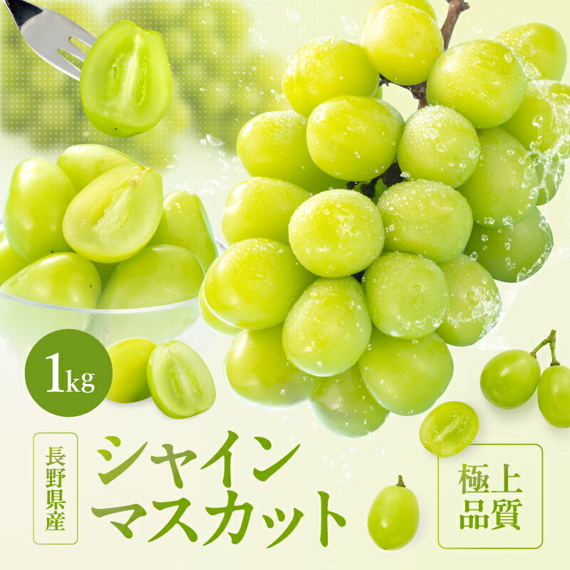 【ふるさと納税】【大人気!】長野県産・シャインマスカット(約1kg) 秀品〈2025年9月中旬～11月上旬発送〉| 果物 くだもの フルーツ ぶどう ブドウ 葡萄 長野県 信州 南信州 飯田市 B32