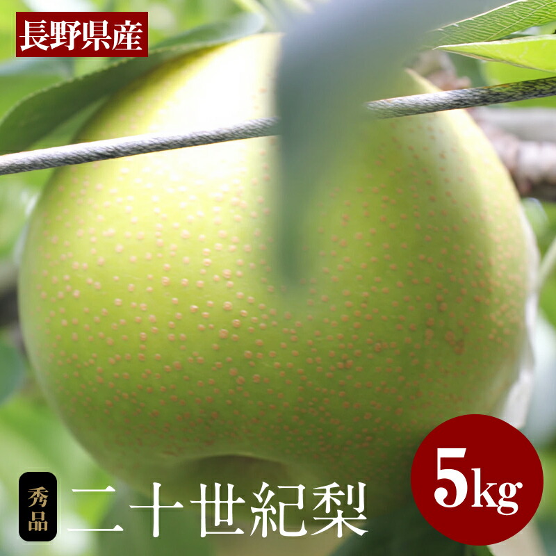 【ふるさと納税】滴る程にジューシー 長野県産　なし(二十世紀) 約5キロ 秀品〈2025年9月上旬～9月末発送〉| 果物 くだもの フルーツ なし 梨 二十世紀 長野県 信州 南信州 飯田市 B04