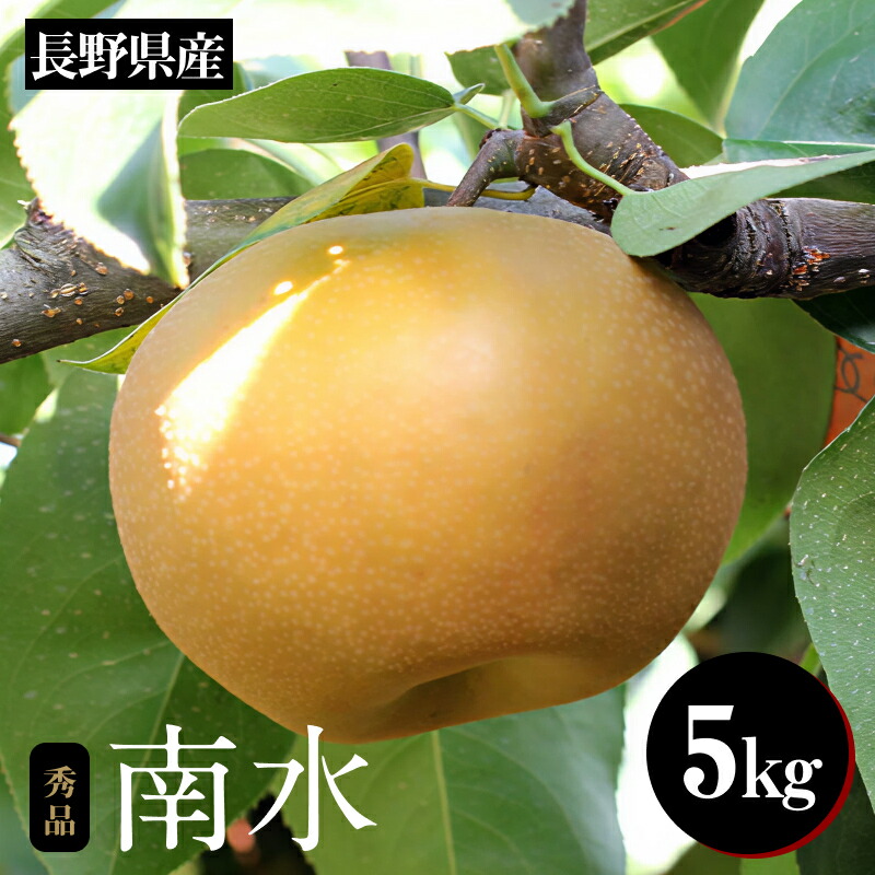 【ふるさと納税】ジューシーで甘い梨!長野県産 なし(南水) 約5kg 秀品〈2025年9月中旬～10月中旬発送〉 | 果物 くだもの フルーツ 梨 なし 南水 長野県 信州 南信州 飯田市 B28