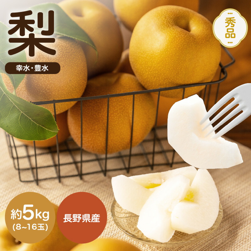 【ふるさと納税】【2026年先行予約】 南信州産 幸水 または 豊水 秀品 約5kg 8～16玉 ＪＡみなみ信州ＤＭセンター飯田 | 幸水 豊水 梨 なし ナシ 果物 フルーツ ジューシー 信州 南信州 送料無料 ふるさと納税 長野県 飯田市 K21