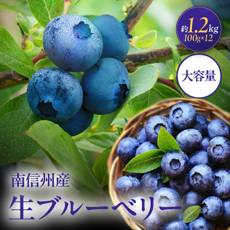 【ふるさと納税】【2026年先行予約】南信州産 生ブルーベリー 約100ｇ × 12パック | 生ブルーベリー ブルーベリー 果物 くだもの フルーツ 信州 南信州 送料無料 ふるさと納税 長野県 飯田市 K37