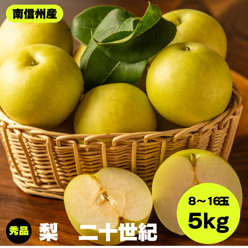 【ふるさと納税】【南信州産】二十世紀　秀品　約5ｋ　8～16玉 ＪＡみなみ信州ＤＭセンター飯田市 | 二十世紀 二十世紀梨 梨 ナシ なし フルーツ 果物 ジューシー 信州 南信州 送料無料 ふるさと納税 長野県 飯田市 K22